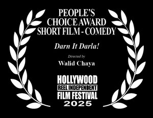 Peoples Choice Award Comedy